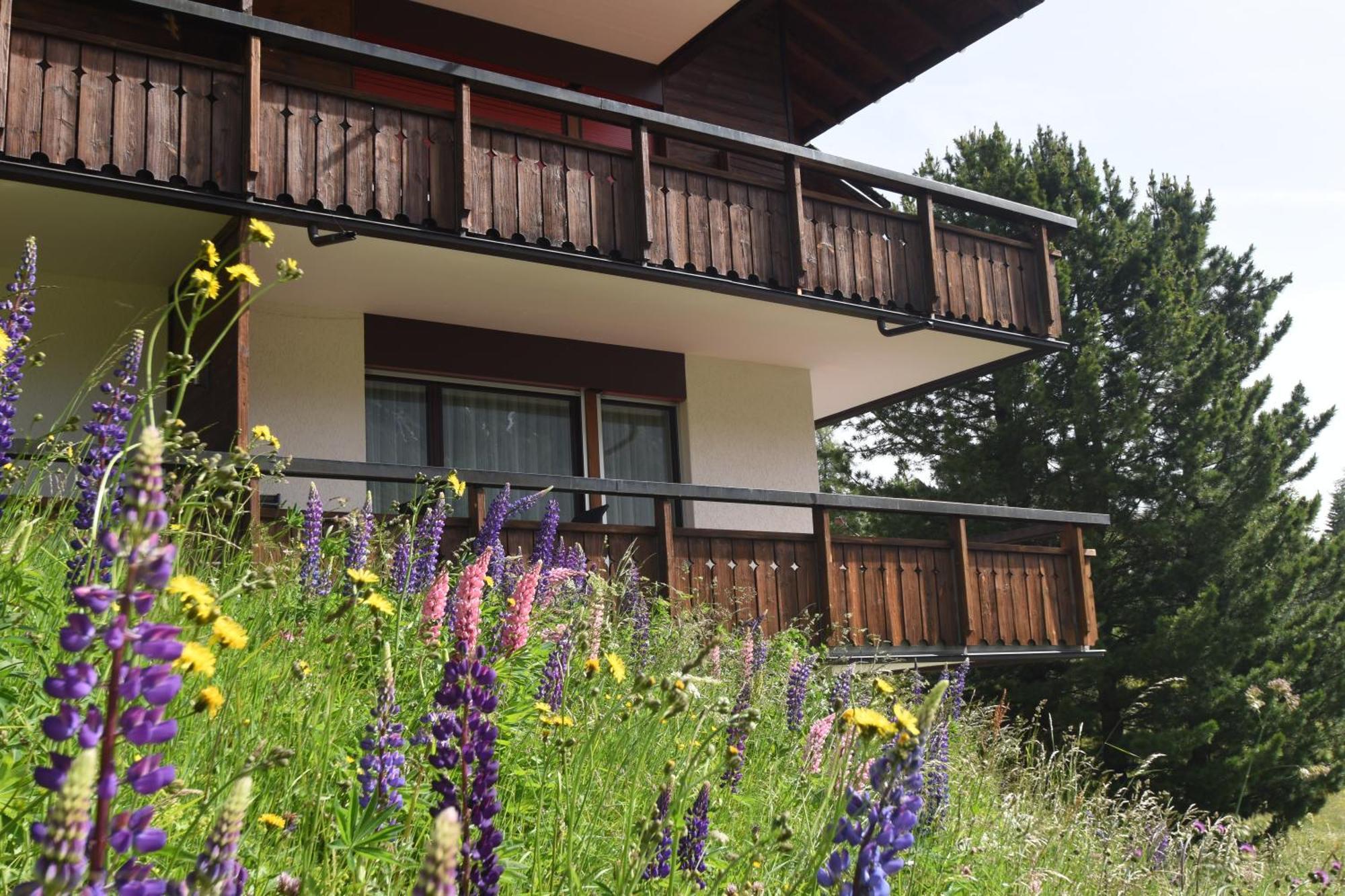 Chalet Christina 7 Arosa Exterior foto